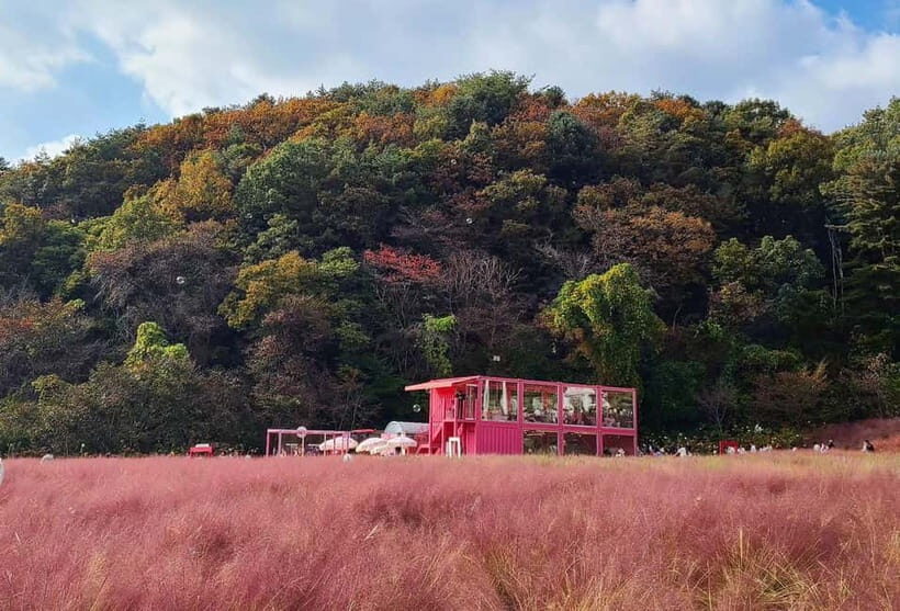 From Seoul: Pocheon, Sanjung Lake and Bidulginang Fall Trip - Why Sanjung Lake and Bidulginang Feel Like a Real Day Escape