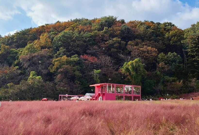 From Seoul: Pocheon, Sanjung Lake and Bidulginang Fall Trip - How the Day Works: Free Time, Multiple Stops, and Less Stress