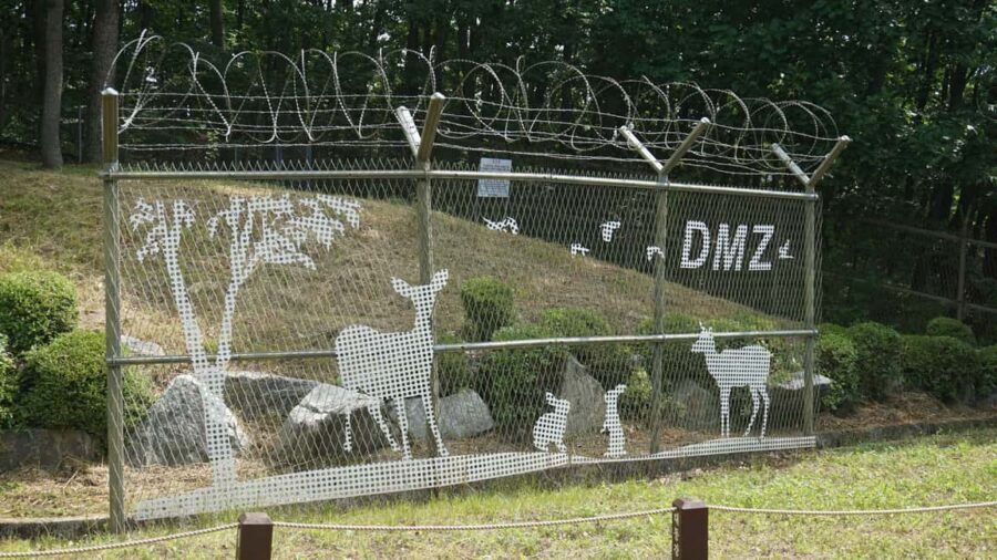 From Seoul: South Korea Demilitarized Zone Guided Tour - Value check: how a $30 DMZ tour makes sense (and where it doesn’t)