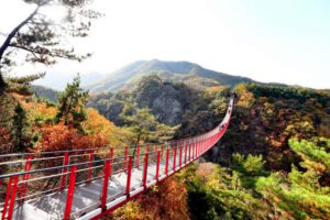 From Seoul: South Korea Demilitarized Zone Guided Tour - Imjingak Park, Bridge of Freedom, and Unification Village stops