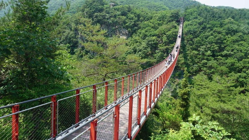 From Seoul: South Korea Demilitarized Zone Guided Tour - Dora Observatory and the DMZ’s 4 km-wide reality