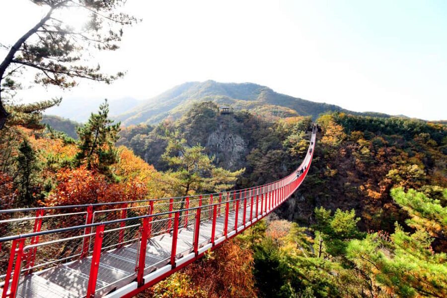 From Seoul: South Korea Demilitarized Zone Guided Tour - Imjingak Park, Bridge of Freedom, and Unification Village stops