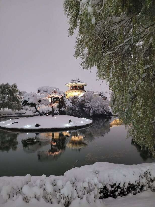 From Seoul: Suwon Hwaseong Fortress Night Tour - Key highlights worth getting excited about