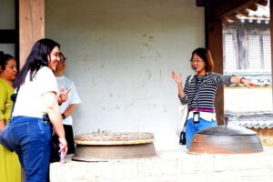 From Seoul: Yongin Dae Jang Geum Park Tour - The MBC set tour: palaces, fortresses, homes, and streets that act like a film map