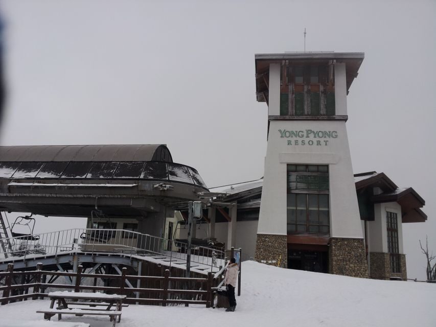 From Seoul: Yongpyong Ski Day Tour with Transportation - Entering the Resort: What You Actually Do Once You Arrive