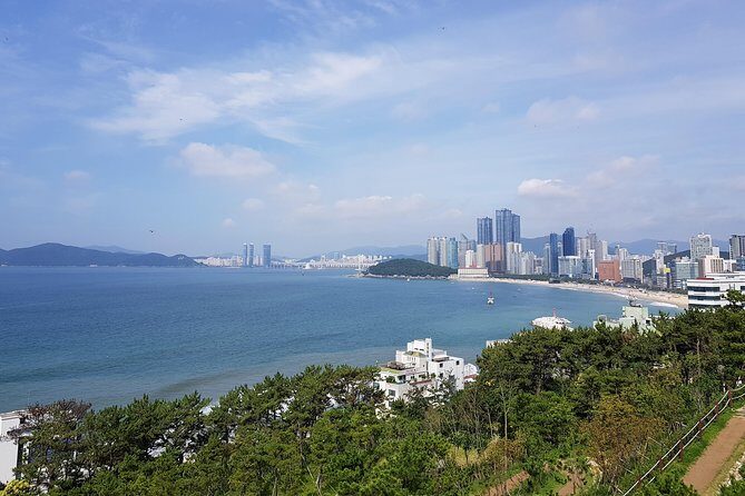 Full Day Busan Tour Including Haedong Yonggungsa Temple - Key highlights worth centering in your plan