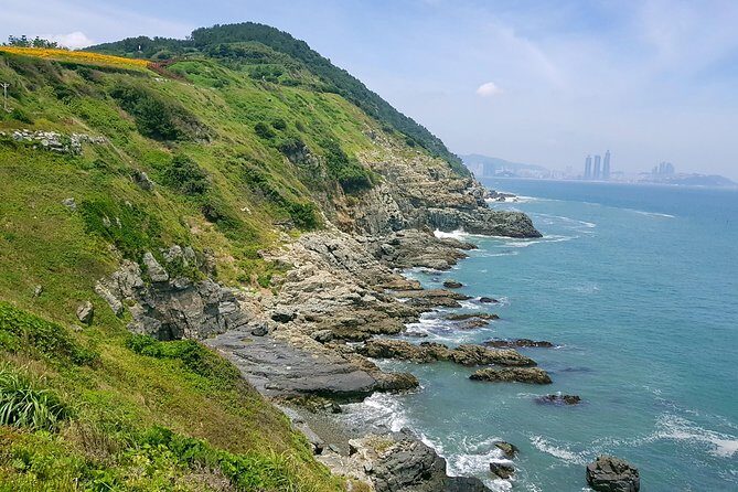 Full Day Busan Tour Including Haedong Yonggungsa Temple - Why this 8-hour Busan tour is a smart first-day move