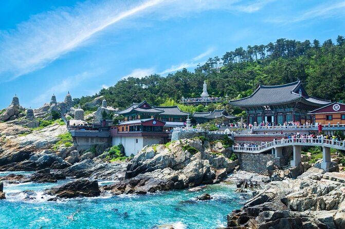 Full Day Busan Tour Including Haedong Yonggungsa Temple - Dalmaji-gil Road: a calm start with pine trees and beach views