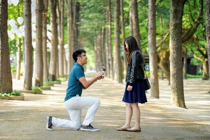 Full-Day Customizable Private Tour to Nami Island and surrounding Area - Key things to know before you go
