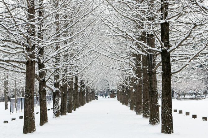 Full-Day Customizable Private Tour to Nami Island and surrounding Area - Nami Island: where Winter Sonata memories meet tree-lined calm