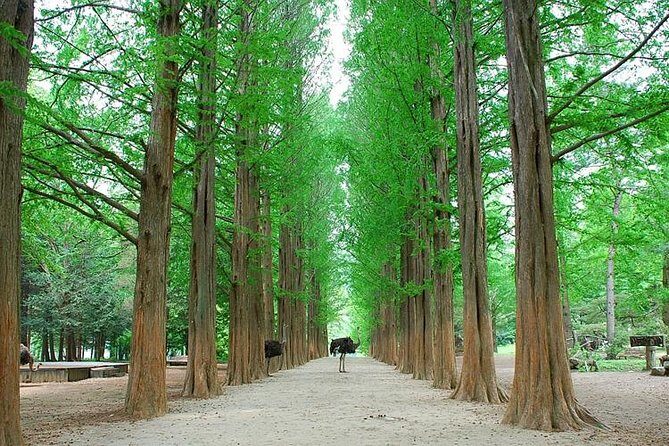 Full-Day Customizable Private Tour to Nami Island and surrounding Area - Elysian Ski Resort and Alpaca World: optional add-ons that fit different group moods