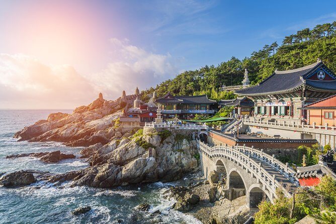 Full Day Private Busan Highlight Tour with Licensed Guide - A Private, Licensed Busan Day You Can Reshape on the Fly