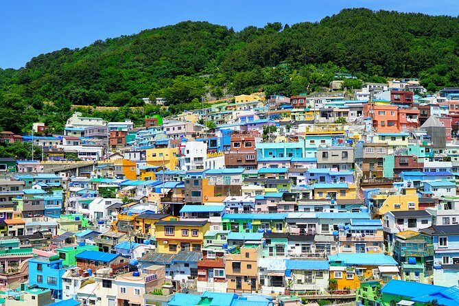 Full Day Private Busan Highlight Tour with Licensed Guide - BIFF Square and the Seafood-Market Sprint: Real Busan Food Energy