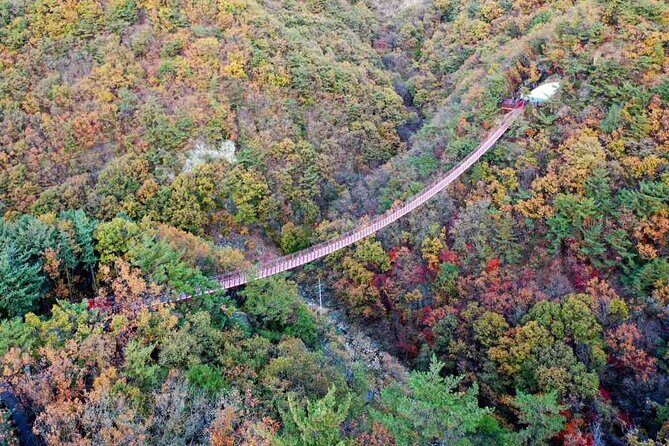 Full Day Private Tour DMZ (The 3rd Tunnel) & Suspension Bridge - Guides make the difference: what I’d watch for in your day