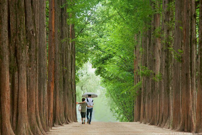 Full Day Private Tour Nami Island, Garden & Petite France - Price and Value: Is $260 Per Person Fair?