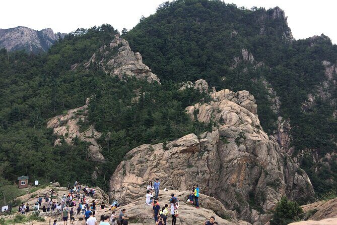 Full-Day Tour in Mt. Seorak & Nami (+Rail Bike Option) - Seoraksan and Nami in one day: why this combo works