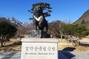 Full-Day Tour in Mt. Seorak & Nami (+Rail Bike Option) - Seoraksan National Park and Shinheungsa Temple: hike, cable car, and timing