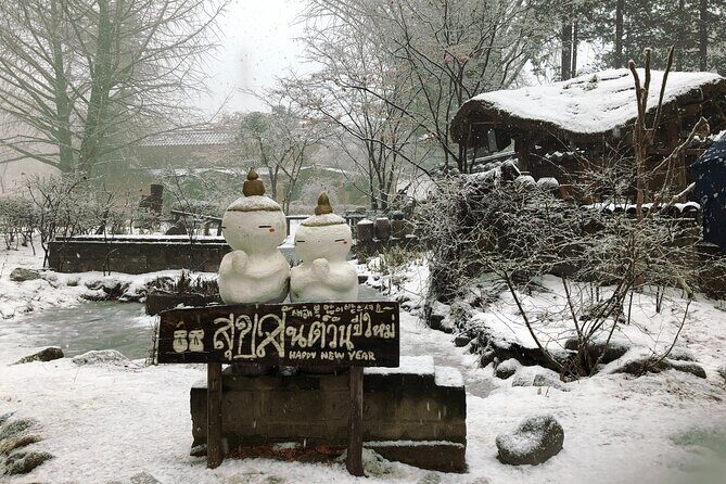 Full-Day Tour in Mt. Seorak & Nami (+Rail Bike Option) - Nami Island: Winter Sonata strolls, tree alleys, and art corners