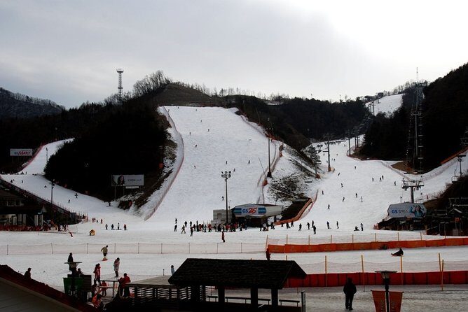 Gangchon Elysian Ski Day Trip from Seoul - Group size feel and comfort on a long winter transfer
