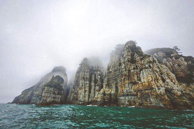 Geoje Oedo Botania Island from Busan - Seomyeon Food Alley stop: a free ticket to start the day