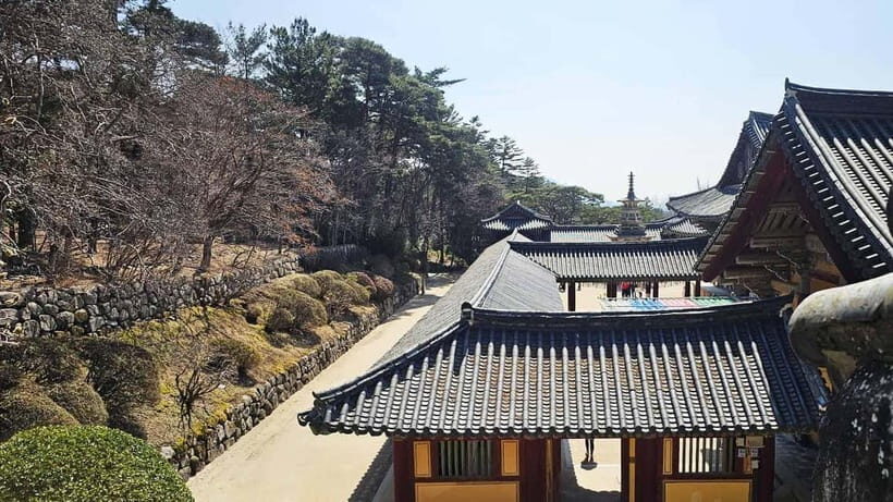 Gyeongju: Private Car Charter Taxi Tour - The classic city hits: temples, grotto time, and the palace-pond zone
