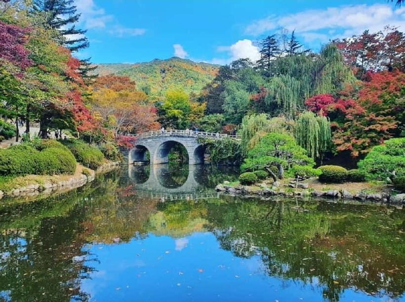 Gyeongju Private Car Tour with a Licensed Tour Guide - Key Highlights That Matter