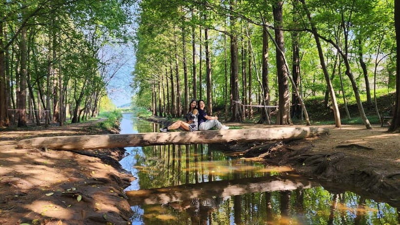 Gyeongju Private Car Tour with a Licensed Tour Guide - Hongsi Lunch: A Korean Meal That’s More Than One Dish