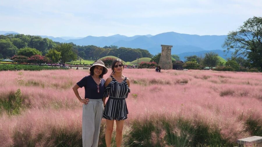 Gyeongju Private Car Tour with a Licensed Tour Guide - Cheomseongdae Observatory: Silla Science You Can See