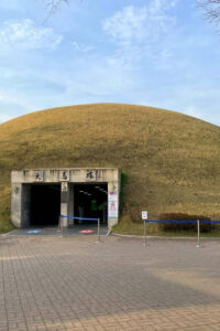 Gyeongju: UNESCO Highlights Tour with Guide and Ticket - Morning Bus Loop: Daereungwon Tombs, Cheonmachong, and Hwangnam Photos