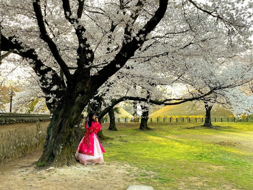 Gyeongju: UNESCO Highlights Tour with Guide and Ticket - Seokguram Grotto and Bulguksa Temple: Silla Buddhism Up Close (Not Just a Detour)