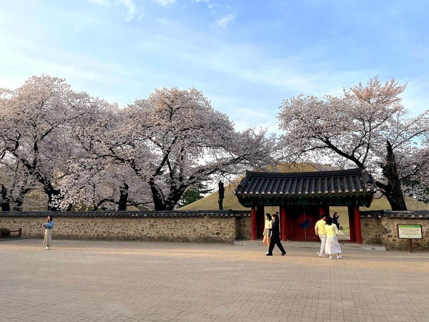 Gyeongju: UNESCO Highlights Tour with Guide and Ticket - After Lunch Choices: Museum Time That Makes the Tomb Story Pay Off