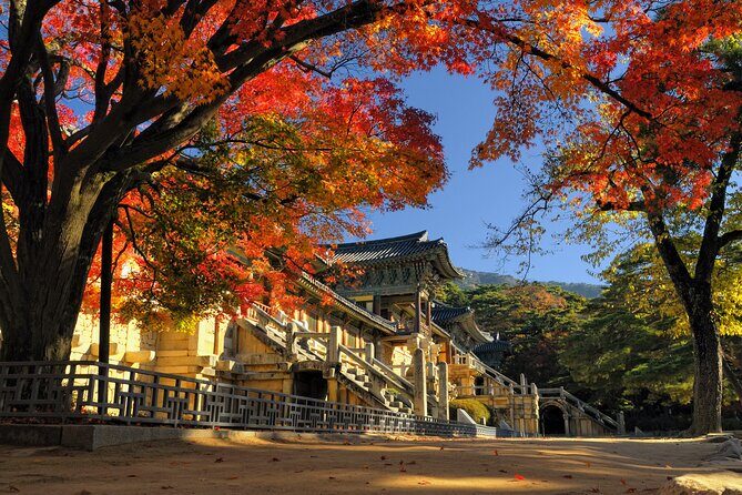 Gyeongju UNESCO sites Private tour with licensed tour guide - Cheomseongdae Observatory: science from Queen Seondeok’s reign