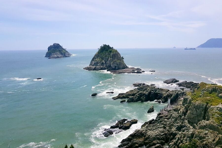 Haedong Yonggungsa Temple, Camellias Island & More - Key moments to look forward to