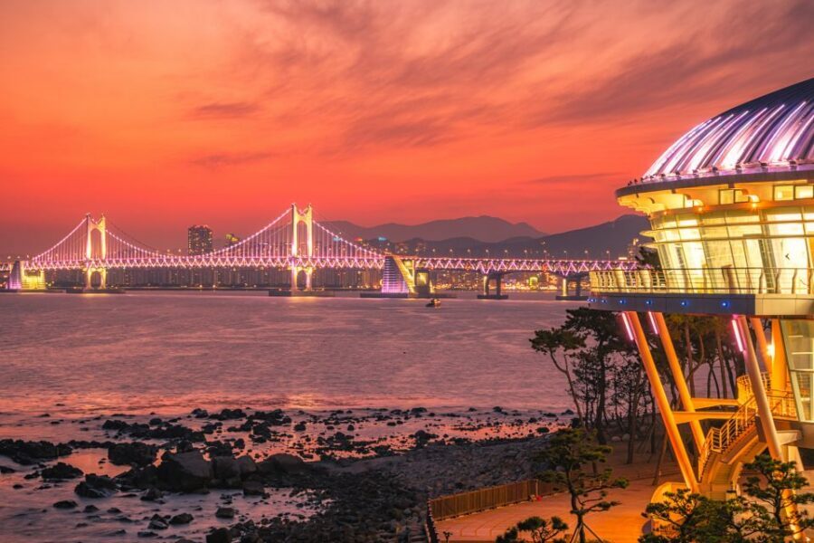 Haedong Yonggungsa Temple, Camellias Island & More - Photography and guide service: why this tour feels easy