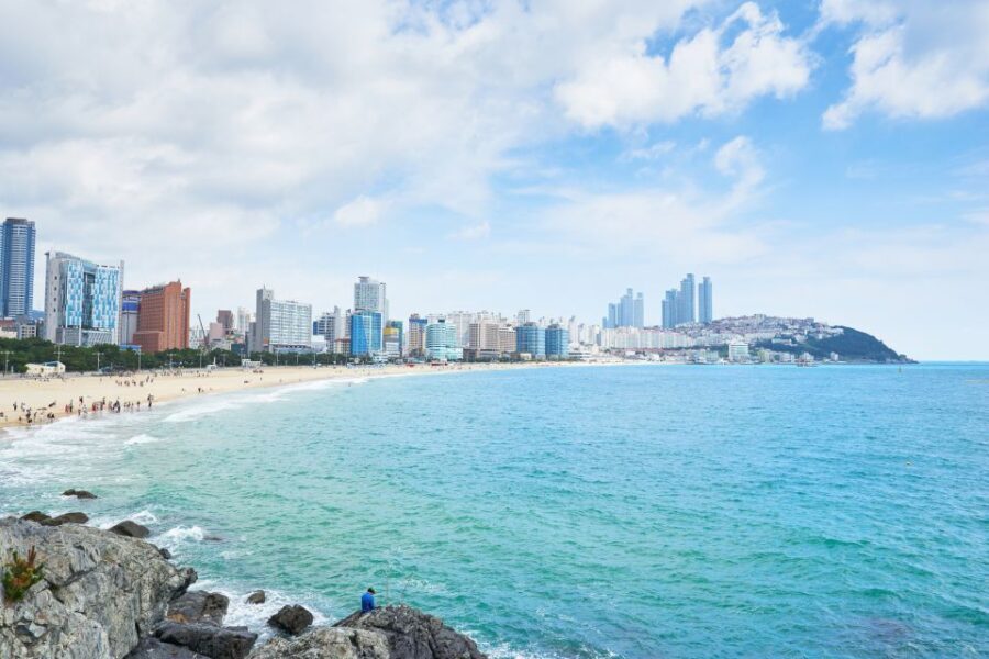Haedong Yonggungsa Temple, Camellias Island & More - Coastal temples and skyline views in one tight 8-hour plan