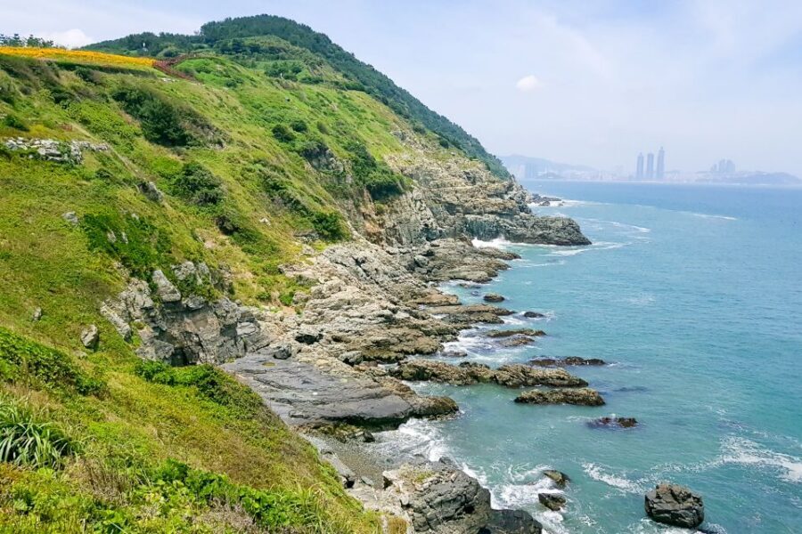 Haedong Yonggungsa Temple, Camellias Island & More - Haedong Yonggungsa Temple: a Koryeo-era temple with the ocean as a backdrop