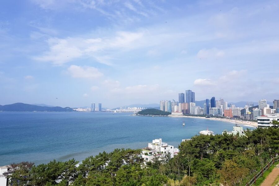Haedong Yonggungsa Temple, Camellias Island & More - Haeundae Beach: the famous “summer energy” break