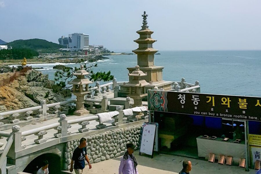 Haedong Yonggungsa Temple, Camellias Island & More - Busan Cinema Center and Centum City Department Store: modern Busan shopping and city life