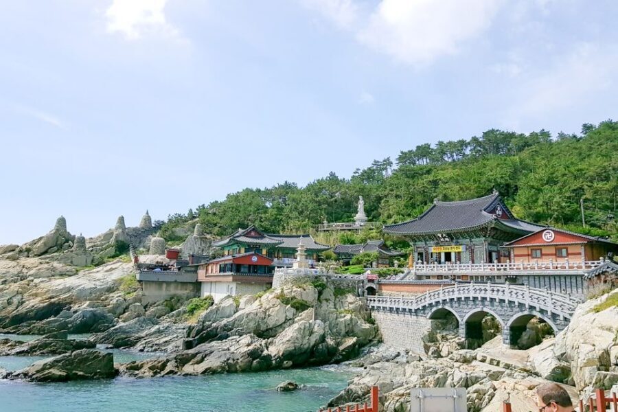 Haedong Yonggungsa Temple, Camellias Island & More - Dalmaji Road: cherry blossoms, pine trees, and sea-level postcard views