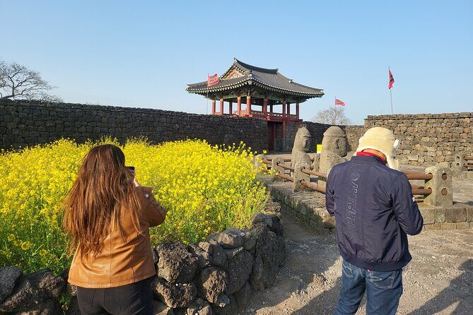 Half or Day Tour For Cruise customers arriving at Gangjeong Port - Seogwipo Maeil Olle Market in 30 minutes: taste Jeju life fast