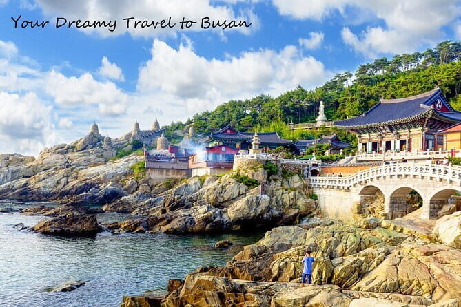 Happy^^ Busan tour for Private Group(Family,couple,friends,alone) - Igidae Park and Hwangnyeongsan Mountain: the night skyline plan