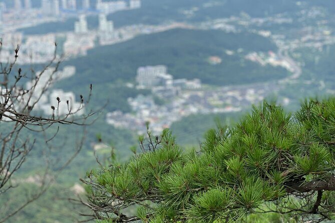 Hiking in Seoul : Bukhansan National Park - Price and value: what $142 buys you in Seoul hiking reality