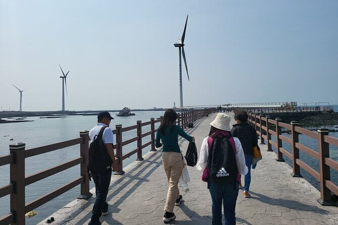 Jeju Customize Private VAN Tour of East or West or South (~8pax) - Seogwipo Olle Market: Where the Day Gets Real
