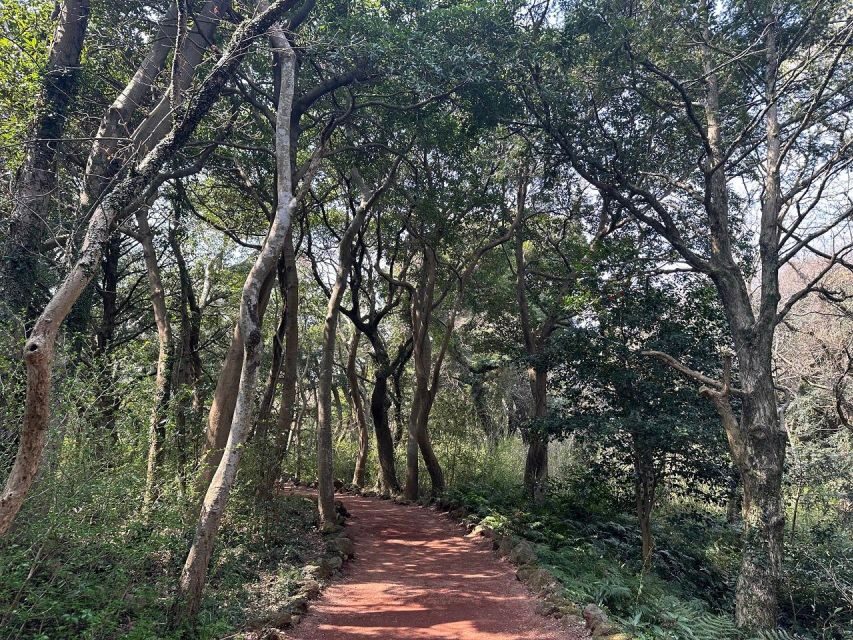 Jeju: East Tour with Sunrise Peak, Seongeup & Coastal Views - Price and Value: What $51 Buys You Here