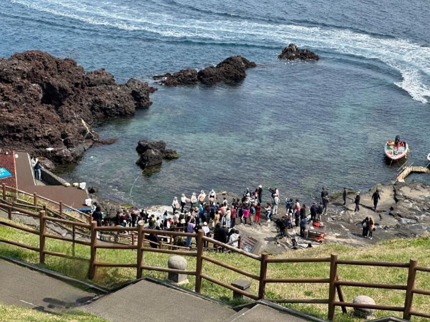 Jeju: East Tour with Sunrise Peak, Seongeup & Coastal Views - Bijarim Forest: A Quiet Nutmeg Tree Walk to Reset Your Head