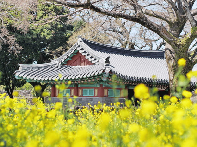 Jeju: Eastern Jeju UNESCO Spots Day Tour - Micheongul Cave at Sunrise Land: The Volcanic Story You Can Walk Through
