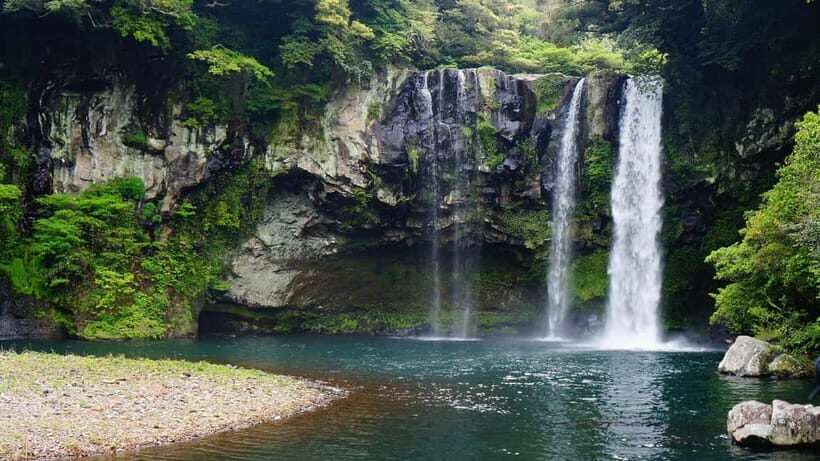 Jeju : For Cruise Guests UNESCO Highlights Jeju Island Tour - Price and logistics: what’s included, what can cost extra