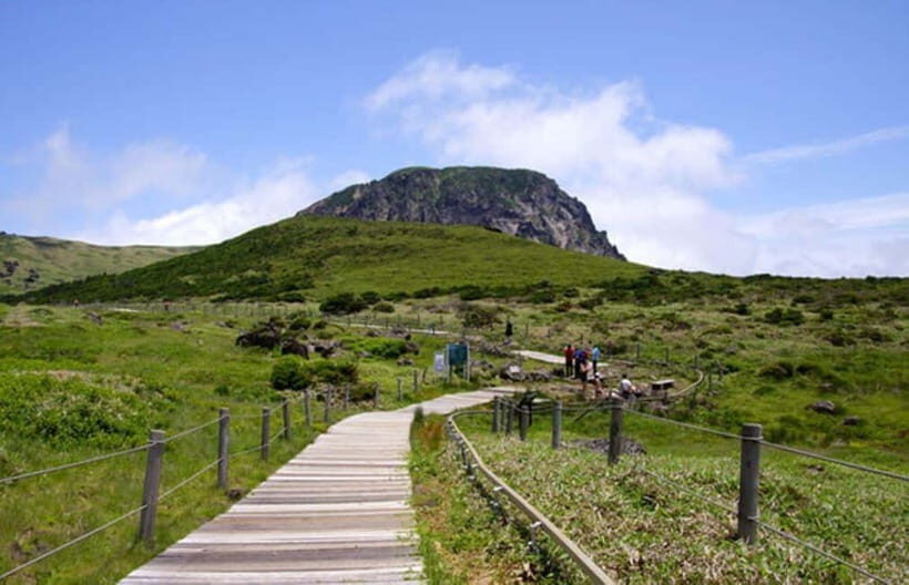 Jeju Highlight One day trip for Cruise Guests - Jusangjeollidae lava cliffs: the basalt columns you can feel