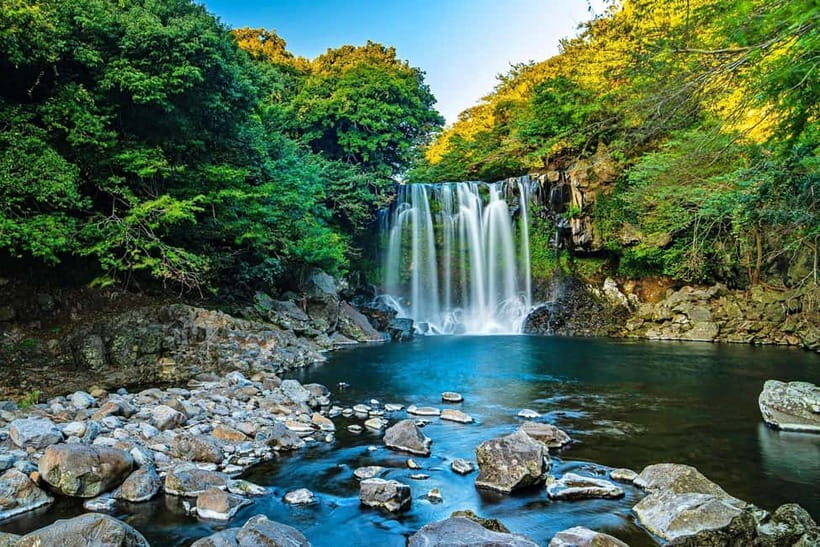Jeju Highlight One day trip for Cruise Guests - Price and value: what $57 buys you on Jeju