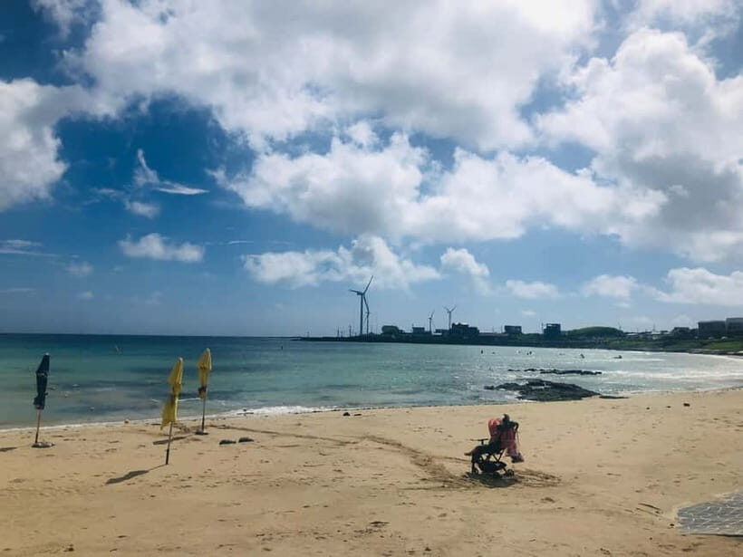 Jeju Island: Customized Private Full-Day Van Tour - A private Jeju day built around your interests